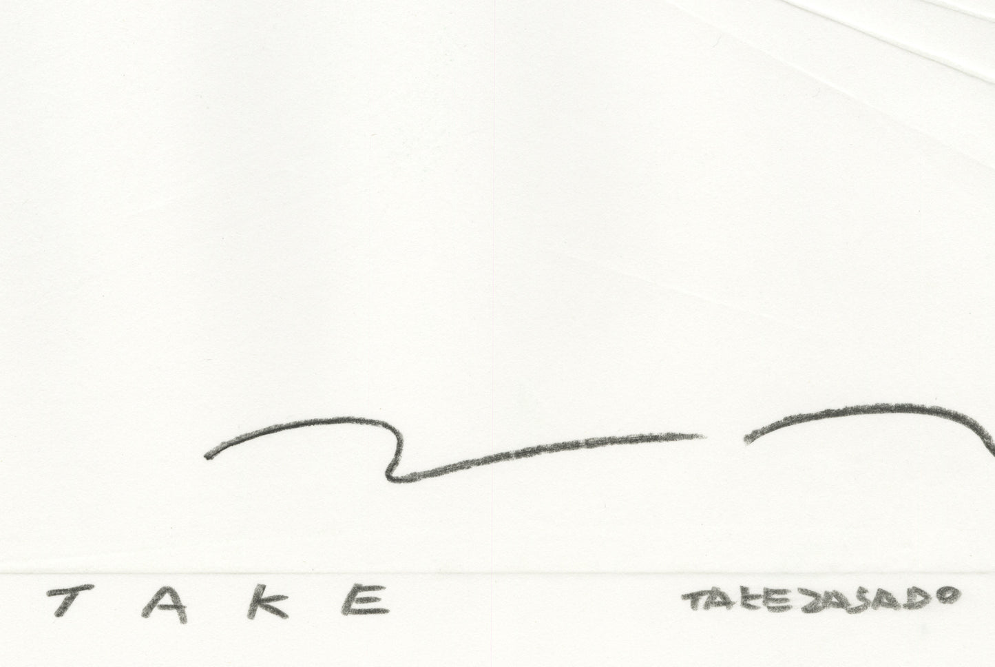TAKE
