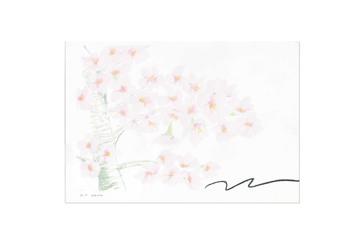 Sakura