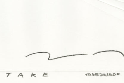 TAKE